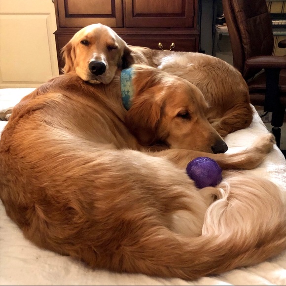 Smoke free/Pet friendly💛 - Picture 11 of 16